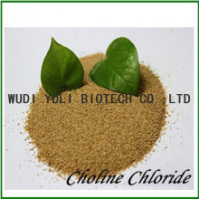 Choline Chloride 60% Corn COB Base